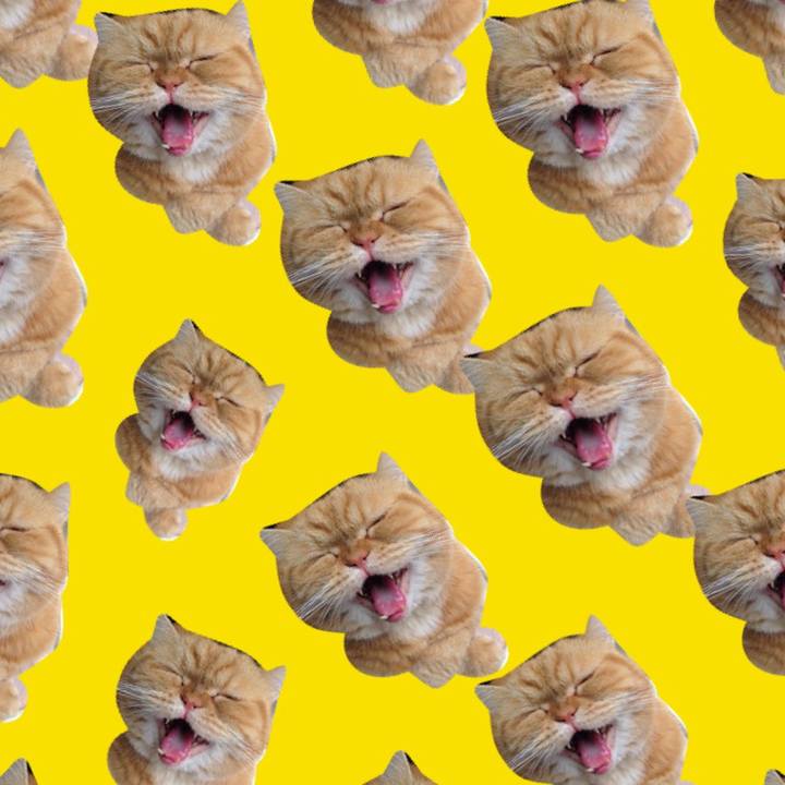 7e5f475a 5268 4a18 9a62 222c6a26b625