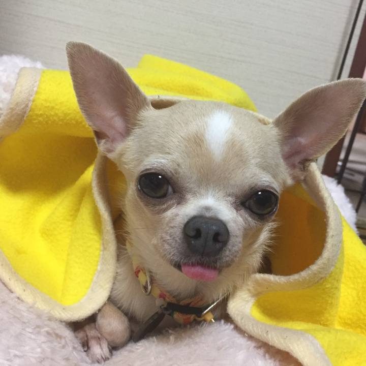 7e5f5184 97fa 41a6 a67e da20c7582977