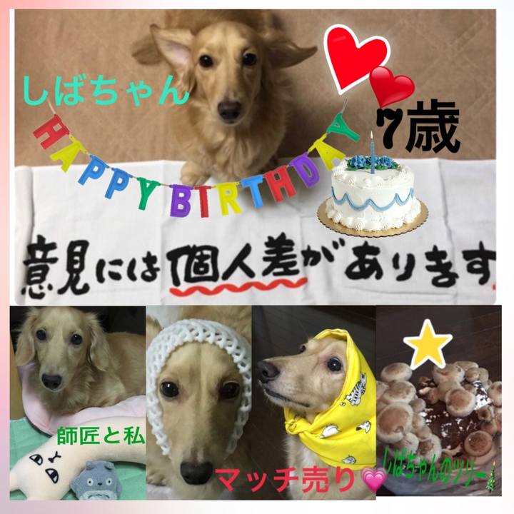 7e60ef49 c004 4788 b7df a61efd6c78ac