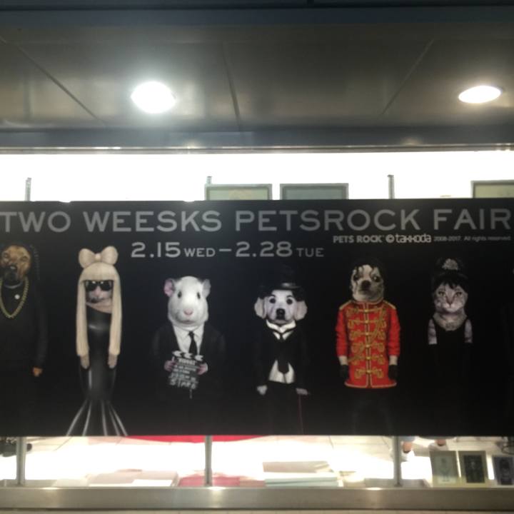 7e6152f4 fe8b 4e5b 9459 2292ba85db41