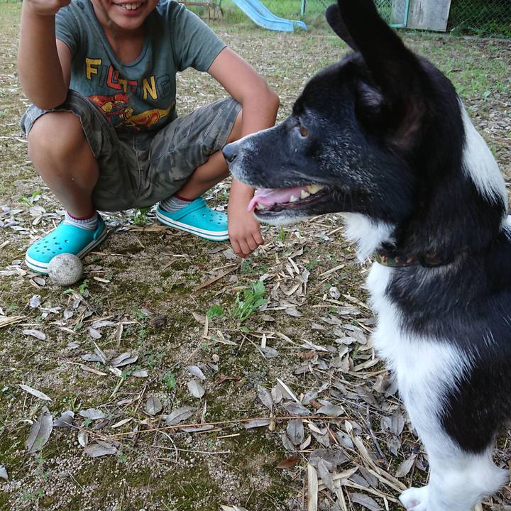 7e61a0e4 dc8f 40de bddc 1a8170ff5369