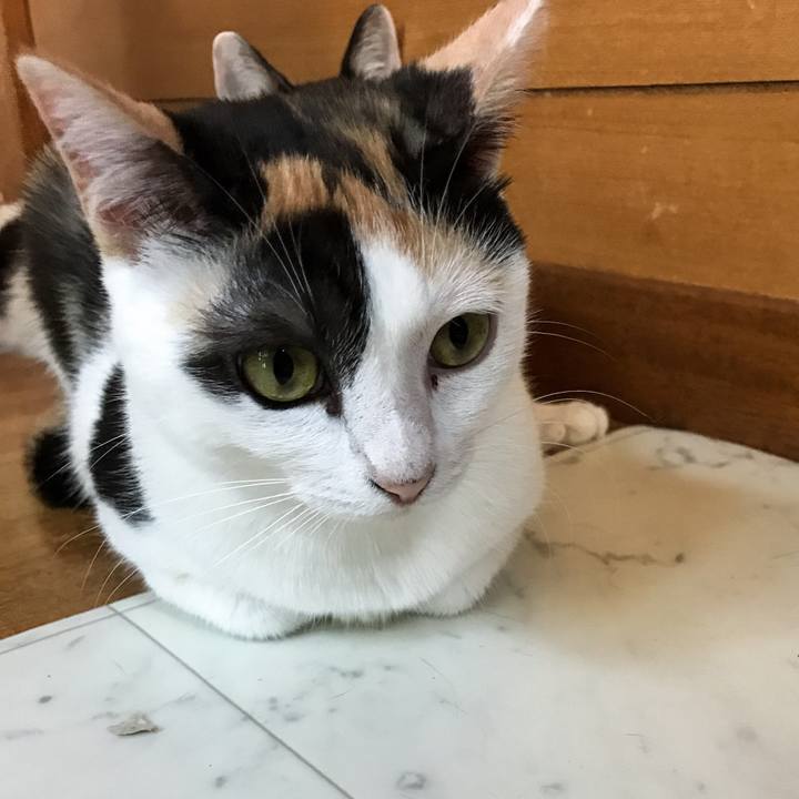 7e61f29f 3566 40c3 89dd 912fb44f0487