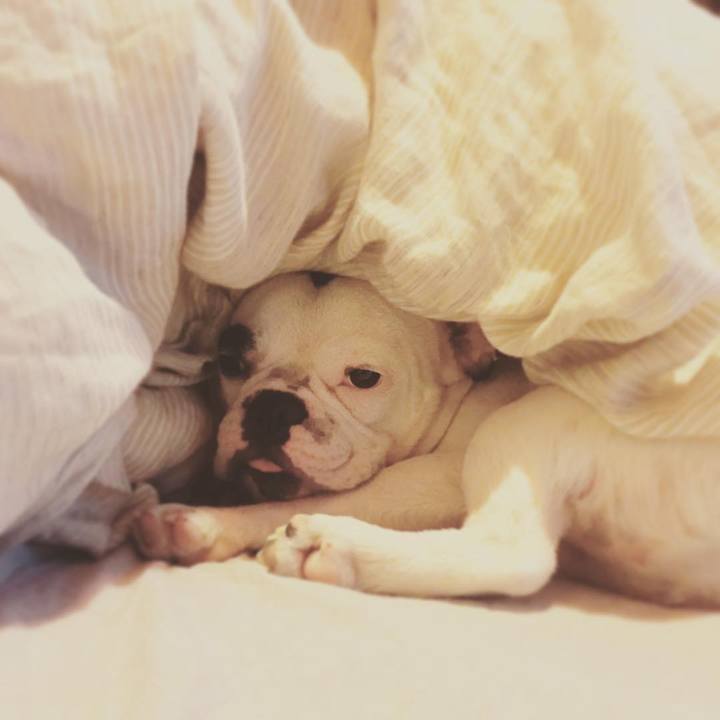 7e625175 aae5 4c3e 9831 48a3f4d0a879