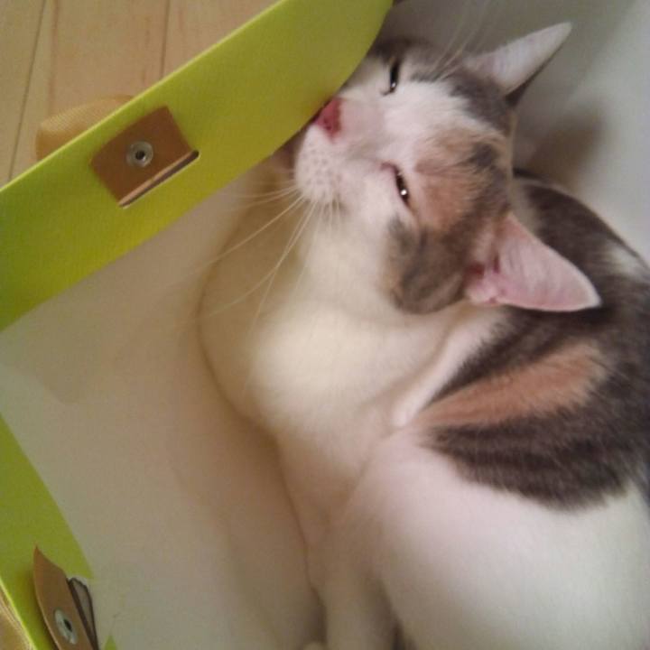 7e629a0a 3a84 404b 8a5c 795590b2046d