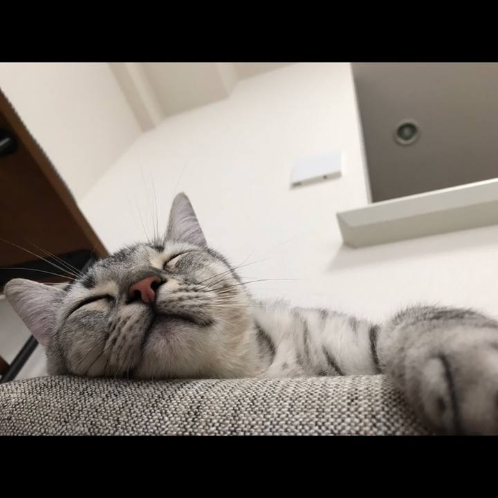 7e635513 a673 4753 a1e6 04b7ae203db3