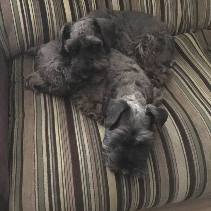 7e640c8b ad00 4d80 b634 173b9d5b6224