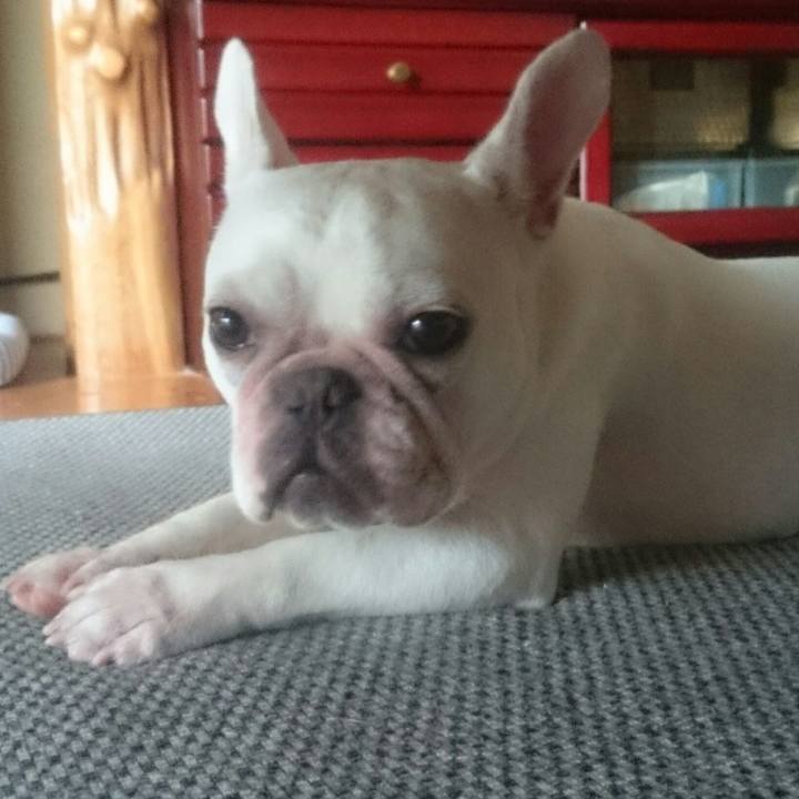 7e649d78 2ab6 4c8b 9fa2 111cbbfd5a9d