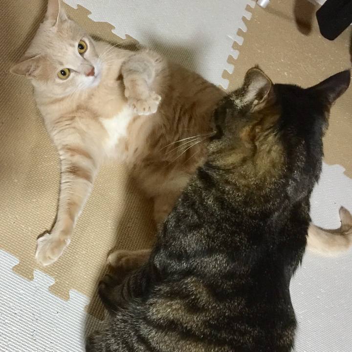 7e64c1d7 6805 4b66 bf83 b5d7797b811c