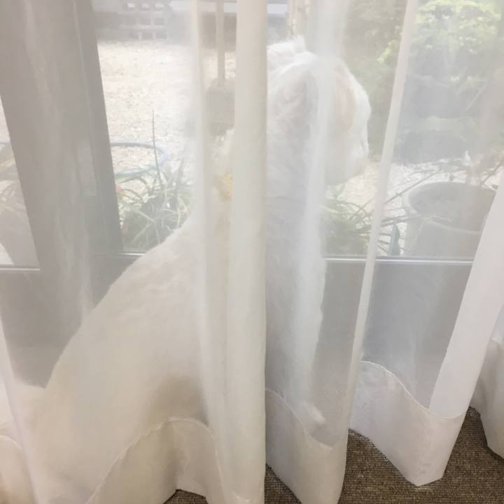 7e650377 26c2 46b0 953b 0514edf84c45