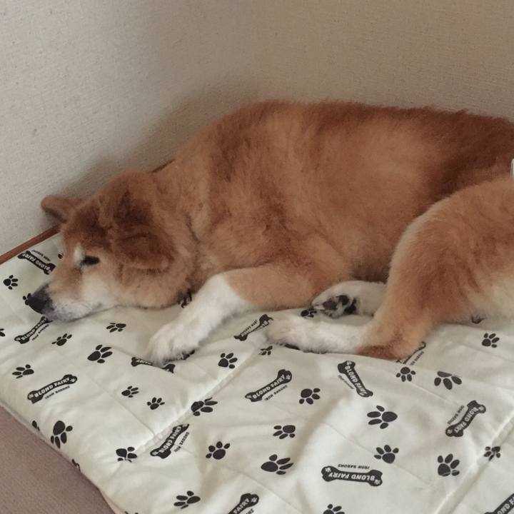 7e6508eb 2d39 49d7 b22a 807f92e95de7