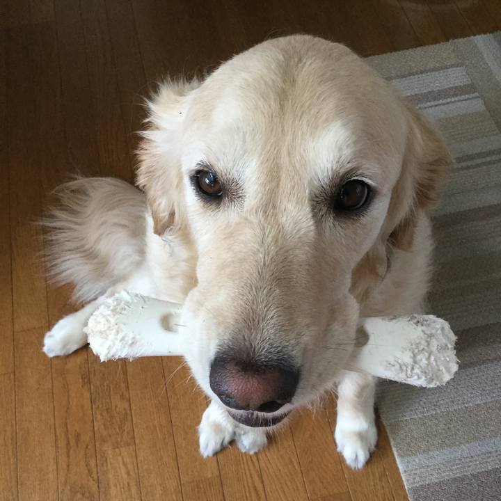 7e651db0 c899 4564 8b37 cb771ed8b002