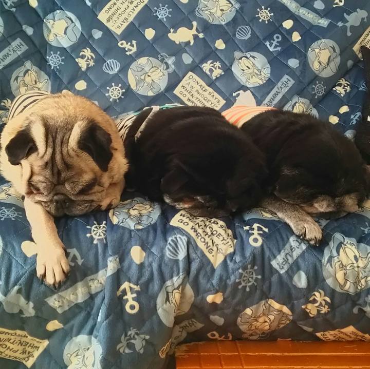 7e659625 04ab 426a b1f7 e990ebd2758a