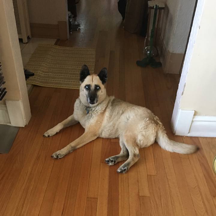 7e65a47c 98f8 464d ab0f 931829a4abb4