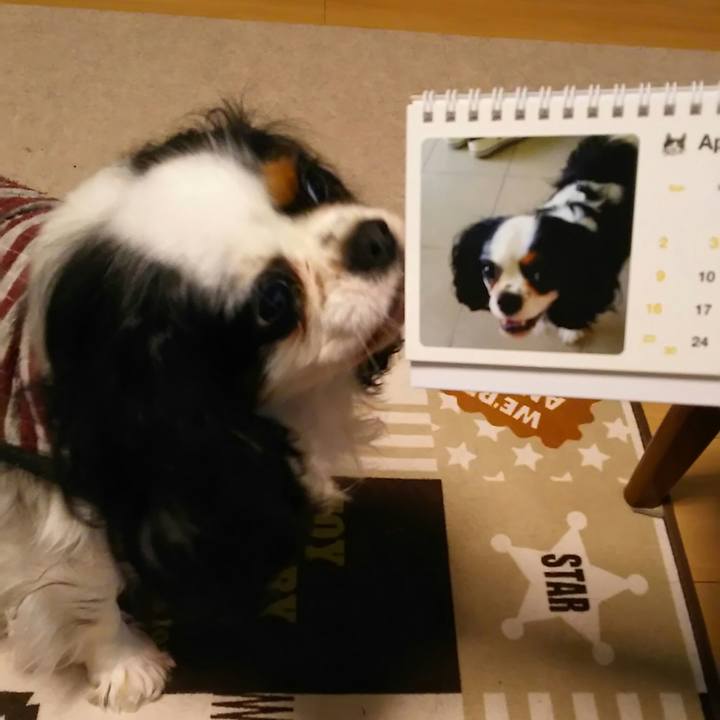 7e6636e4 7165 46cc 9818 2da4663c0bd3