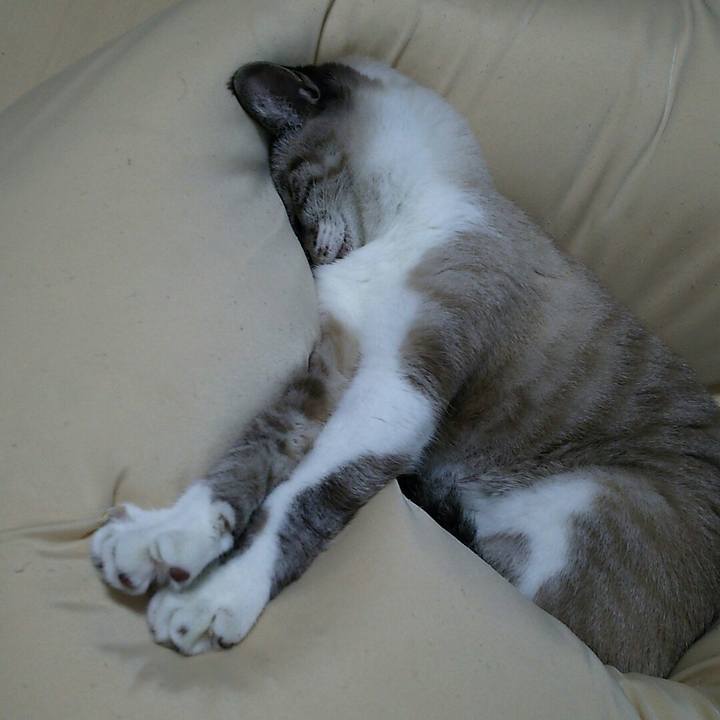 7e66bac8 1264 4dae aa31 cb6e0f8d98c1