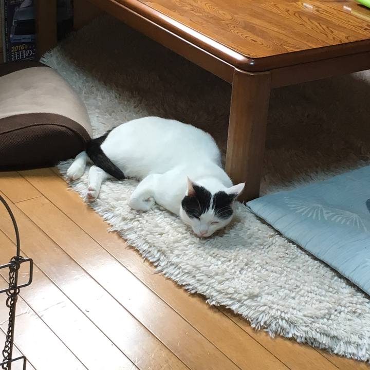 7e66d47f 8b60 4ff7 a514 072c2e3b95ab