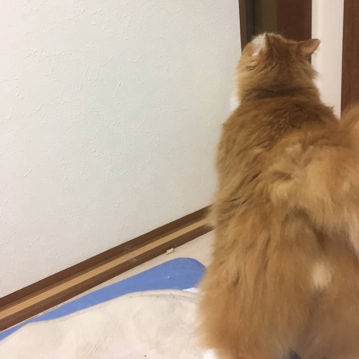 7e674189 646e 4bb6 bf7e 78ff4b23f7b6