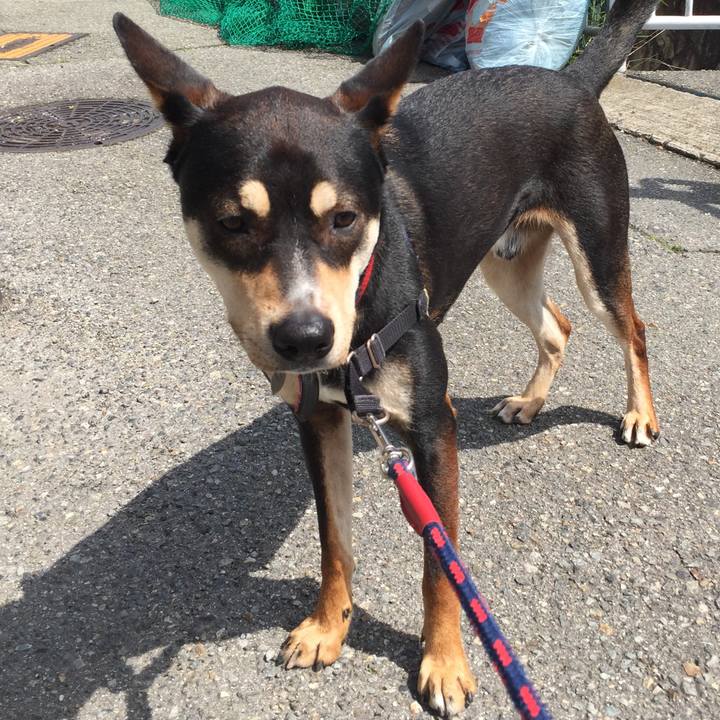 7e679cfa d4bc 4645 8776 3ba61022a996