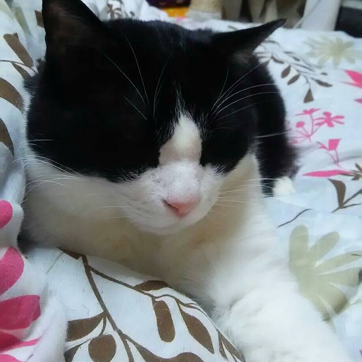 7e684723 9839 4a0b af6c f32f8381c3e1