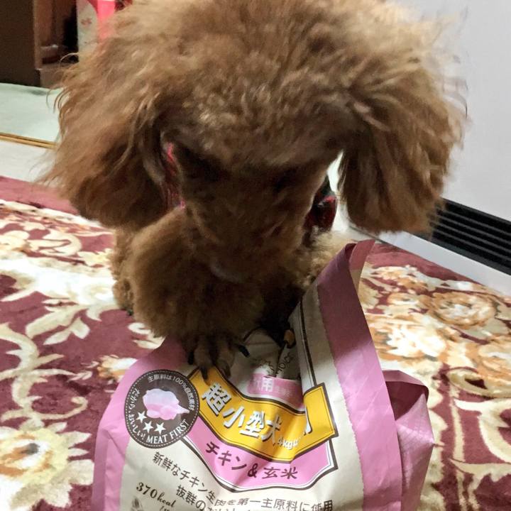 7e68a456 c50b 4805 b83c 3b59654161ee