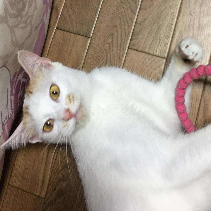 7e691650 b791 48f8 b82a b35eb29cdc3e