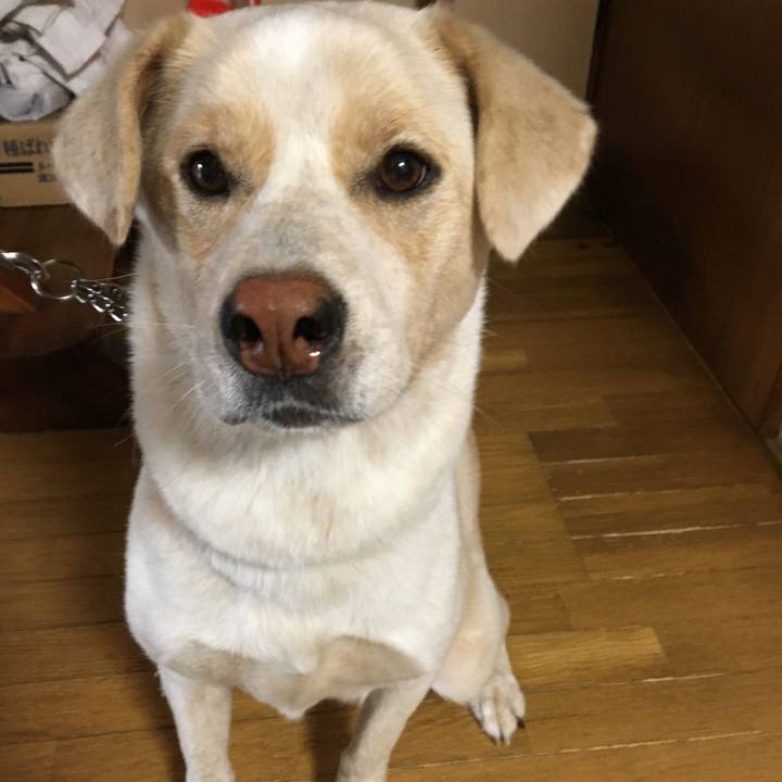 7e694e18 f9c7 4eb8 976f d3077f6a7621