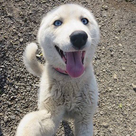 7e699053 9917 4e83 ad63 4b78ce77cb73