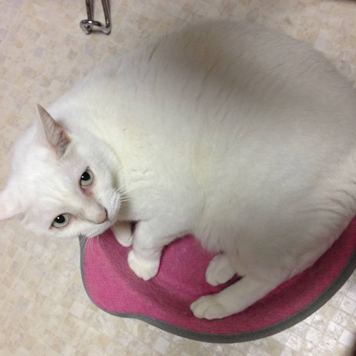 7e69a0ea a652 4be6 85c7 e152bb152edd