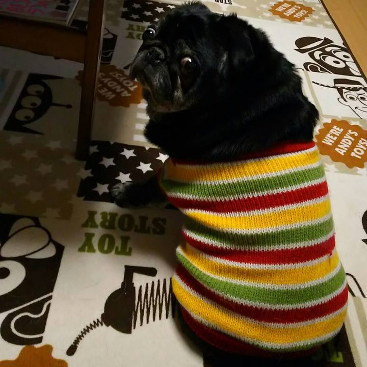 7e6a5416 afdb 4942 a3bf b1508d790d51