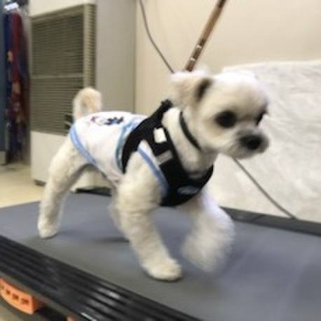 7e6bfb80 1117 4c8e bc66 807ab8c02ce0