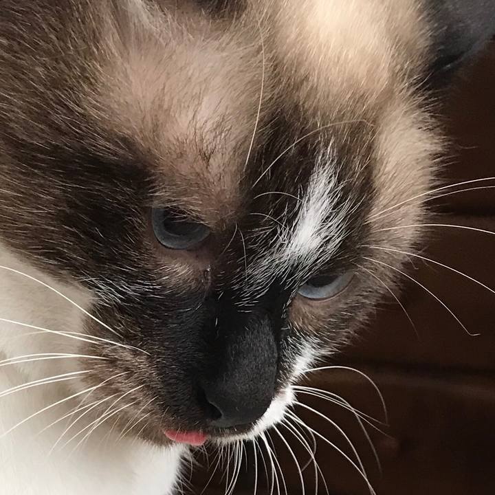 7e6c60cc b447 46eb b622 791bf5feaca6