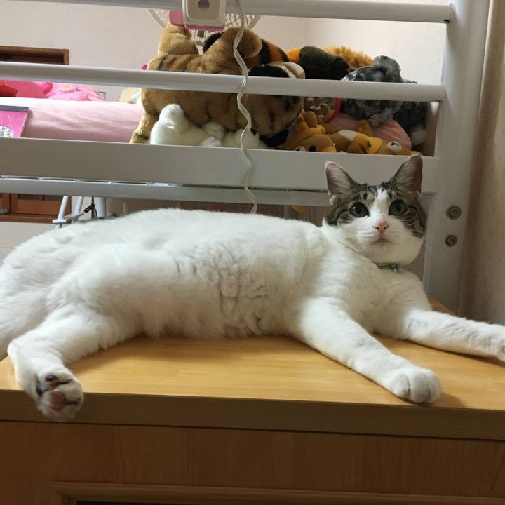 7e6d38dc edfc 40cc a4c5 6de5512e783e