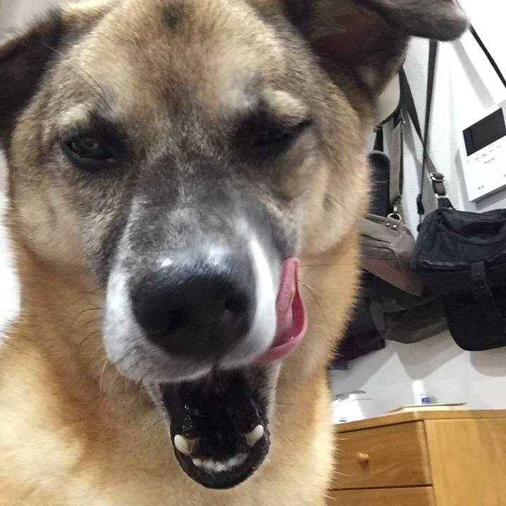 7e6d66d9 26e5 46a1 9acf 5e7165e09a1d