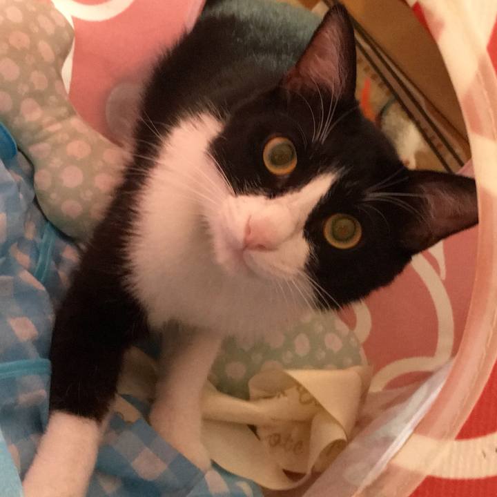 7e6d744d fe46 400f 9c32 227bb0c1b41a