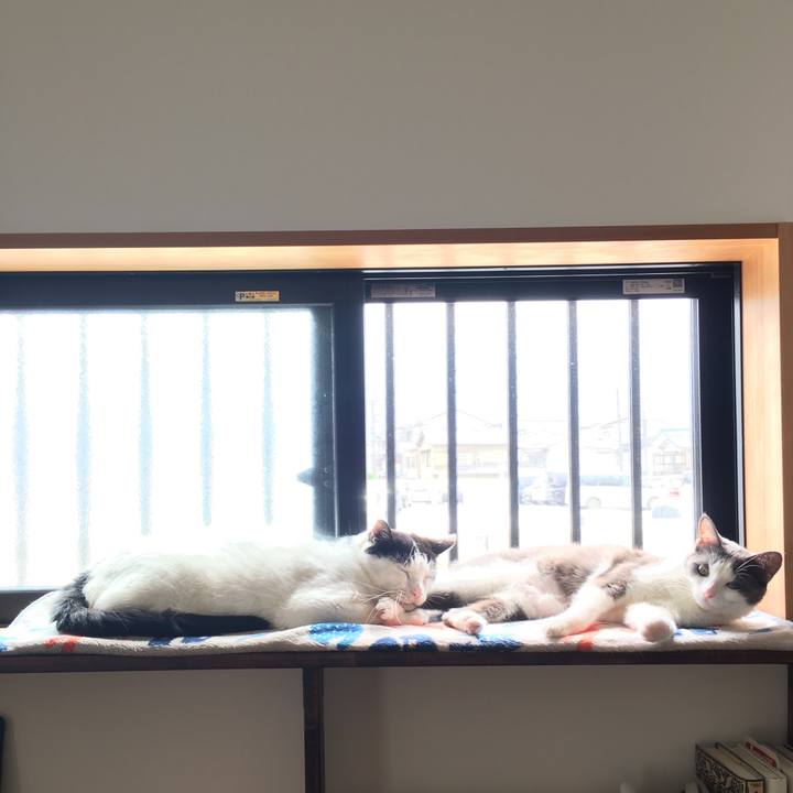 7e6d8d80 8434 4ebc b24a a09e02d66386