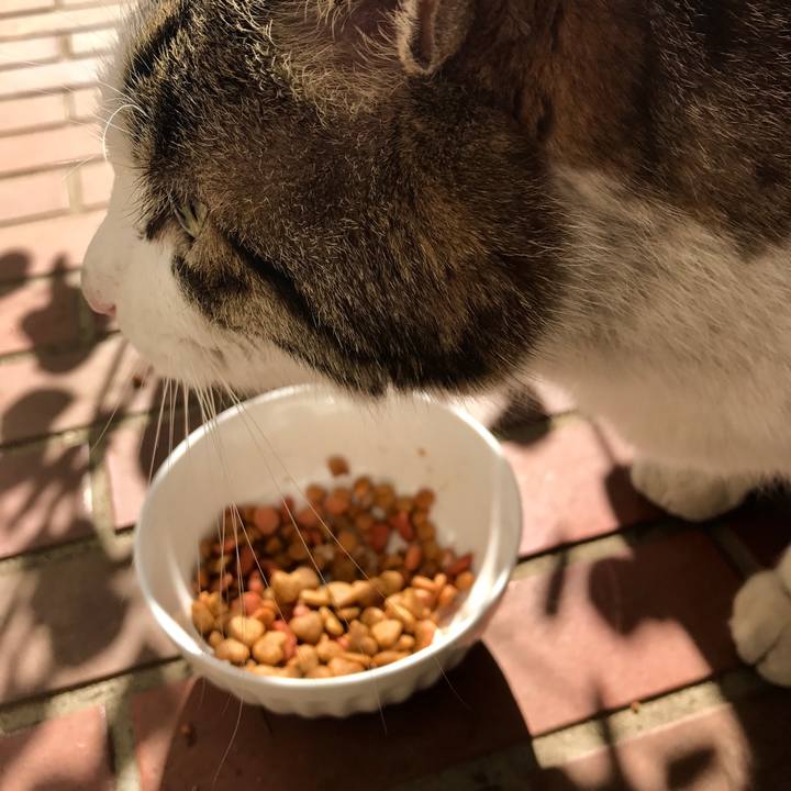 7e6f10de b506 4dcc 998e 7b7b2cb48674