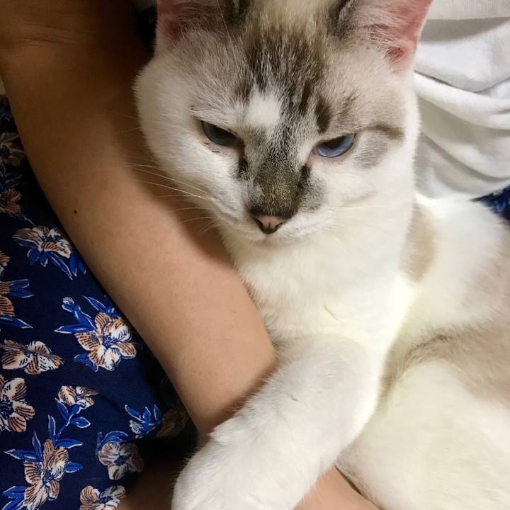 7e6f47a1 f4b7 41f6 9f8b e2b9788dff45