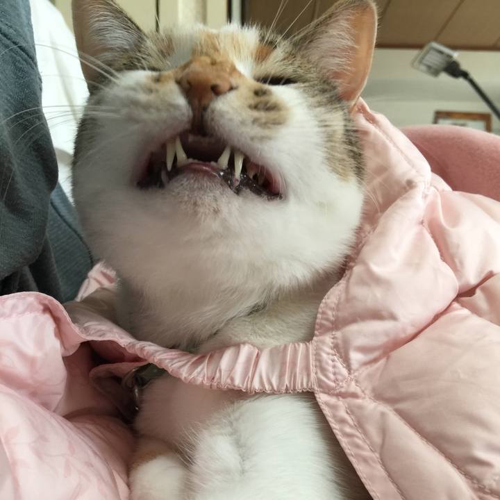 7e7037c1 65dd 460b a3a6 e0b6593beb1a