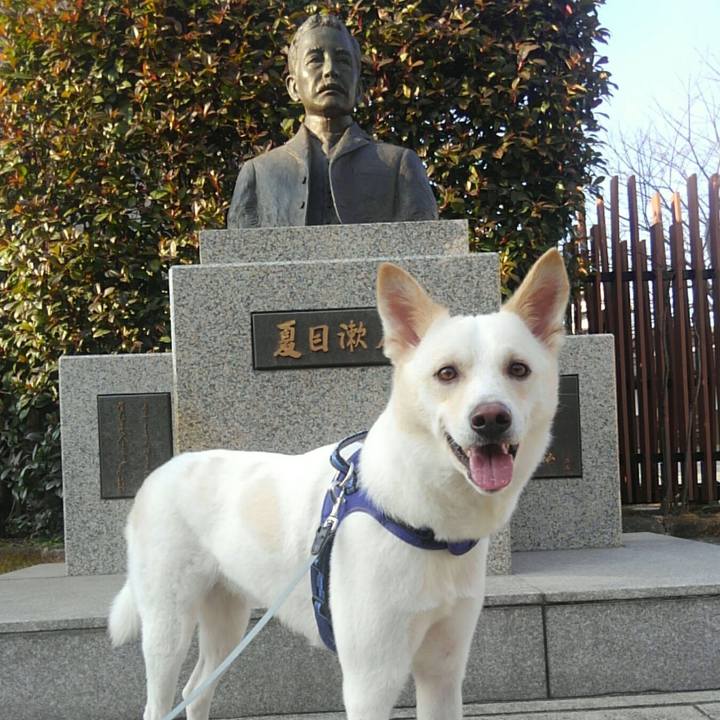 7e707512 8743 45b4 89d3 a72578f829eb