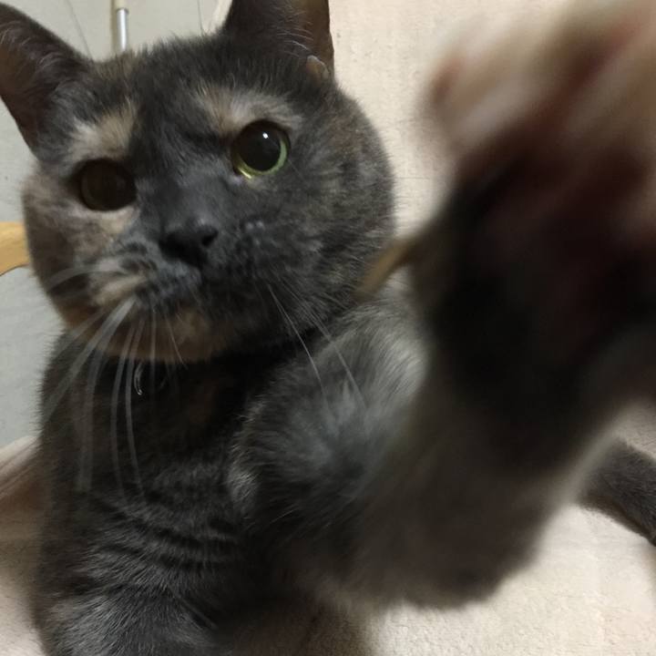 7e70e670 2f68 49a9 93d4 9e35cf7ed4c5