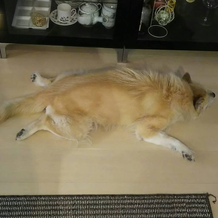 7e71657b a2e8 464e 804e f67bd619ec33