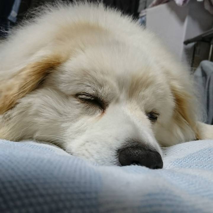 7e718a17 946d 4894 8dfb 219a8f8431b2