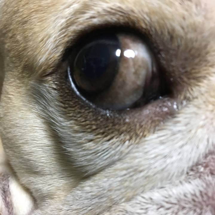 7e71b629 ab29 4360 92d4 b827408eeebb