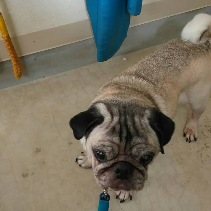 7e720473 61f8 4775 a2ac b21e587b7bbe