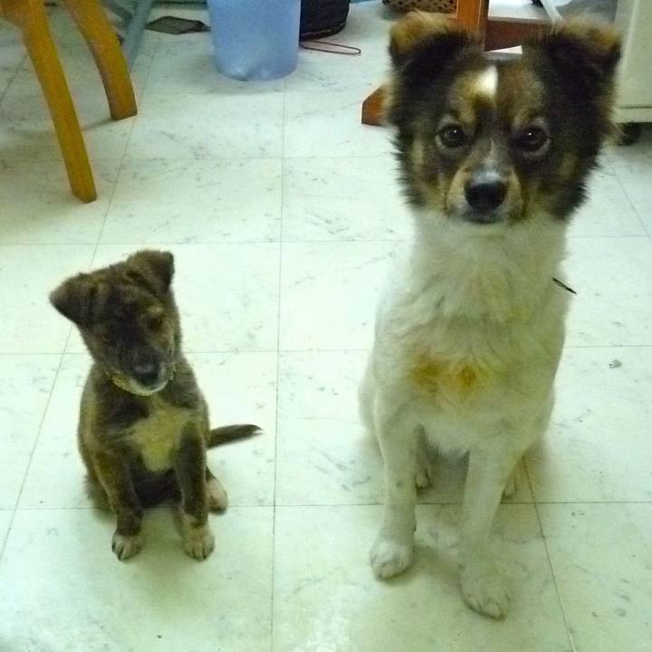 7e7209f7 a4a3 4433 aa1f 5d44ded0029c