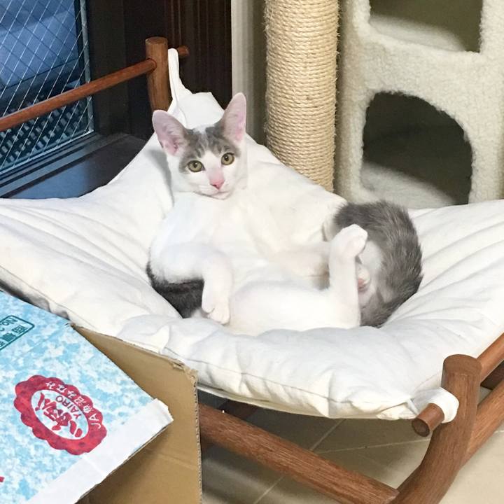 7e72554f ab3a 4ccf b6c6 5be742375795