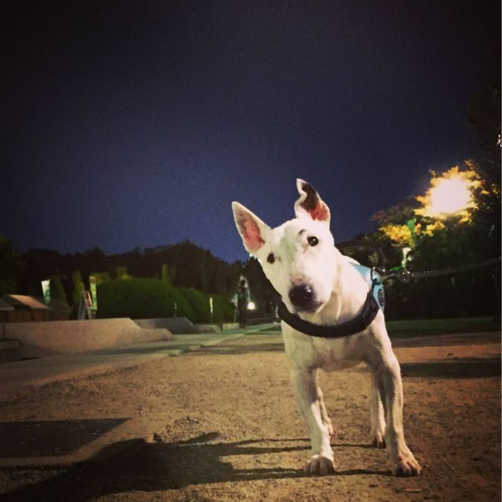 7e72826f 49e0 4f96 8c78 9079ee919d5d