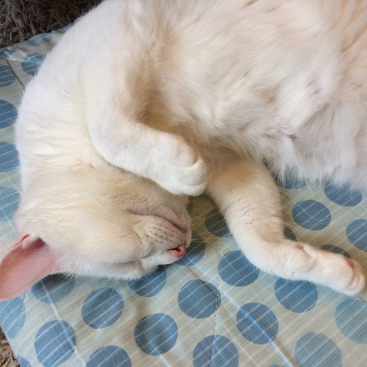 7e72ab4f b576 404b 9da7 3ec56c307409