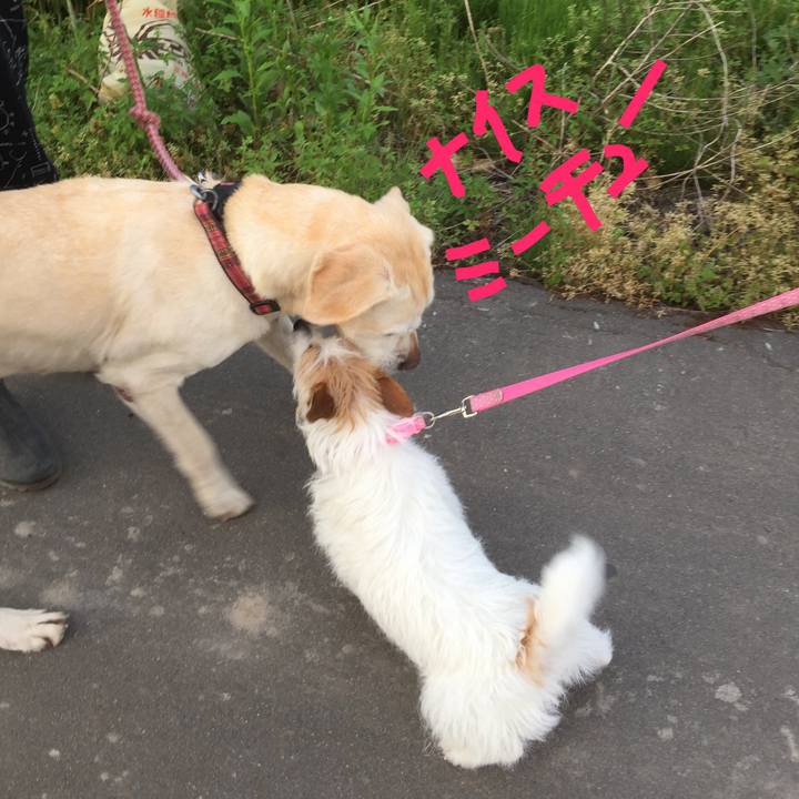 7e73822b dd34 43b2 9216 2e61aff23a54