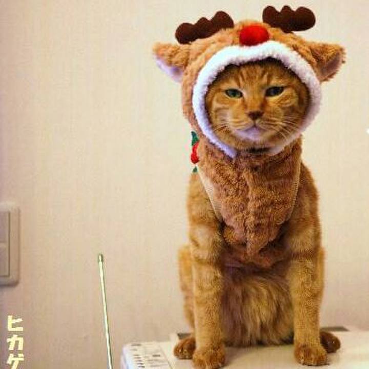 7e73a54b e8ab 44be a96a cdc31645216a